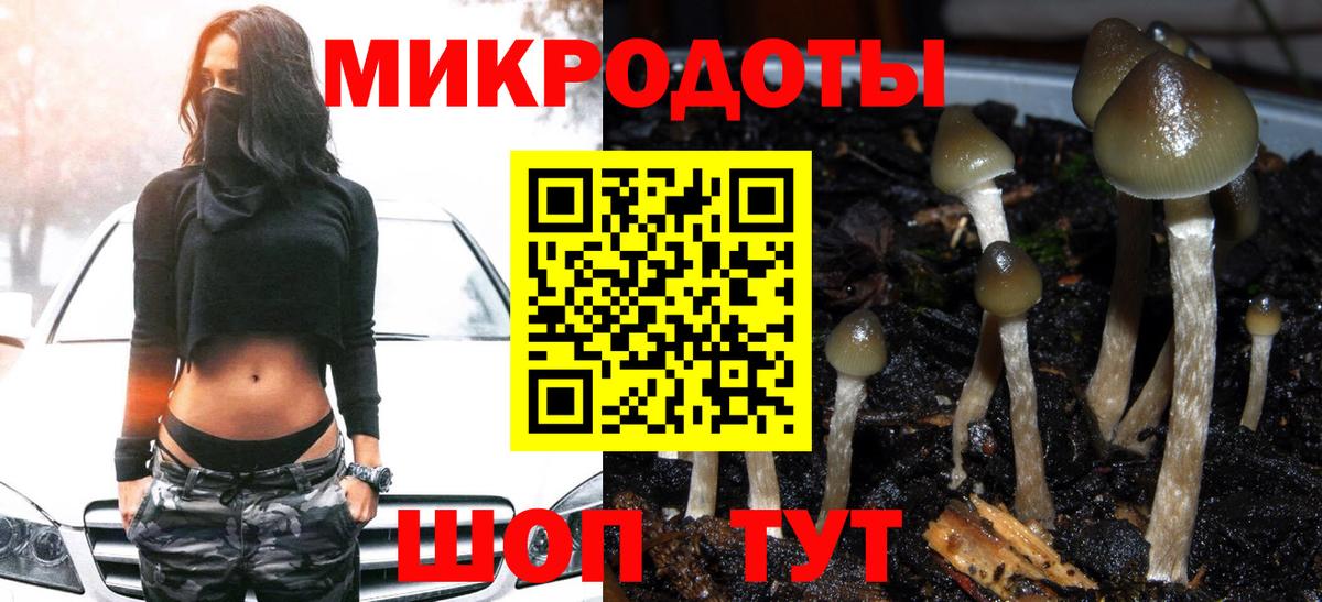 Галлюциногенные грибы Psilocybine cubensis  Вход с VPN  Зеленодольск 